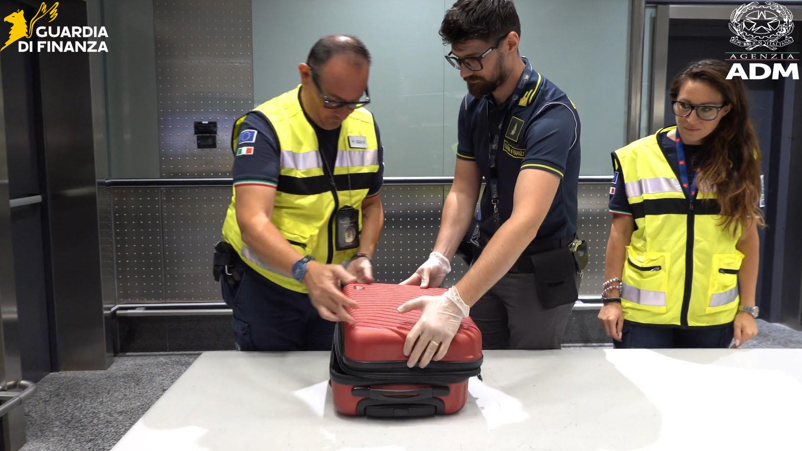 "Voglio essere il più forte, catturarle tutte": a Malpensa 605 carte Pokémon e One Piece sequestrate, valgono 27mila euro 2 21082026 112956 carte logo doppio 1
