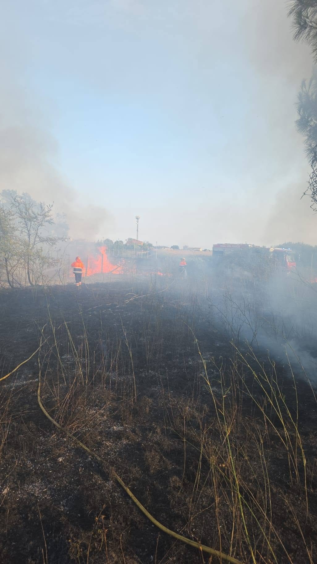 Montalto di Castro - Serie di incendi lungo l'Aurelia: si sospetta che non siano naturali (FOTO) 3 760173111 10233838374078052 5256703394502870808 n