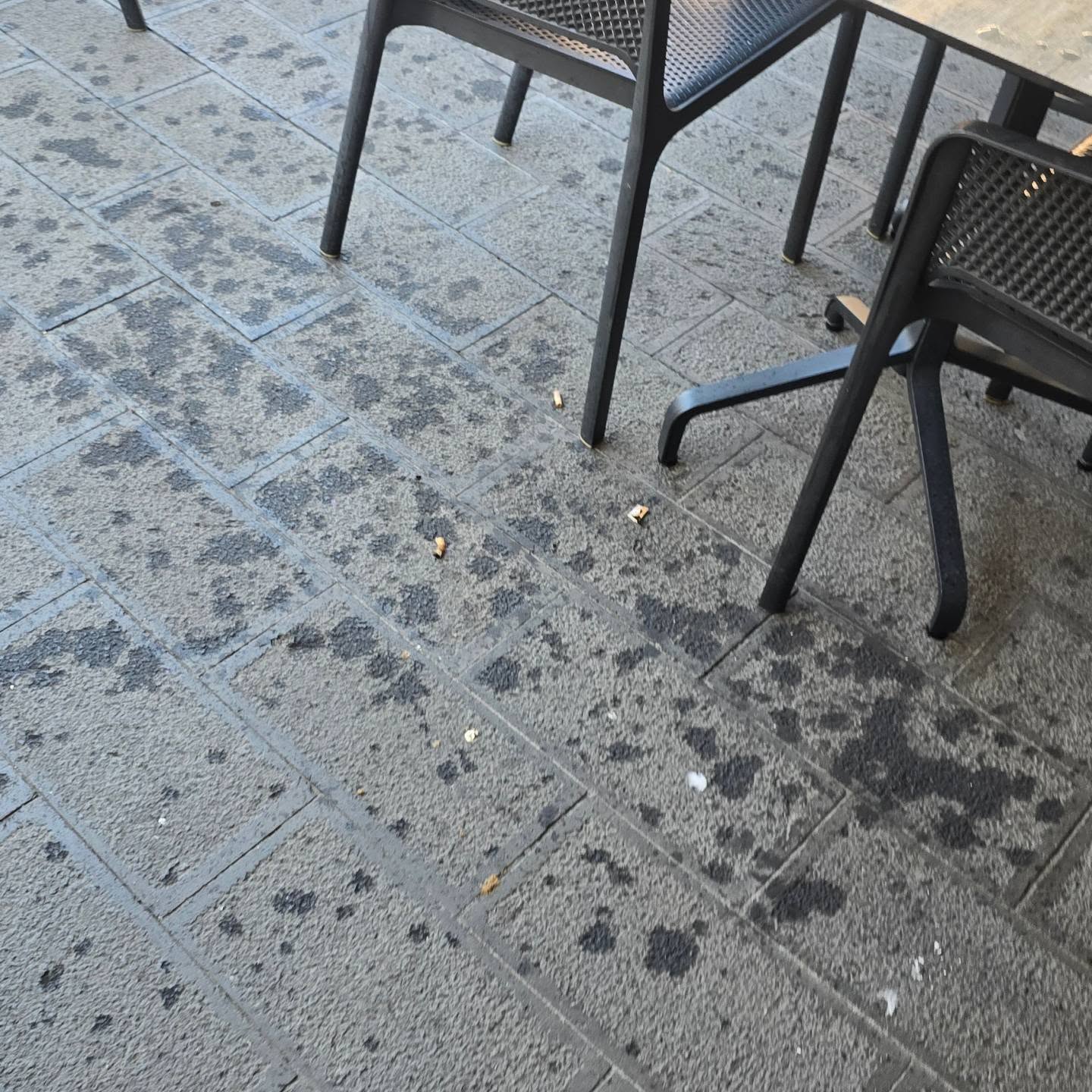 Olio su tavoli e marciapiede: atto vandalico contro un ristorante di Tarquinia (FOTO) 2 770330671 18417842284146227 1891106812242040046 n