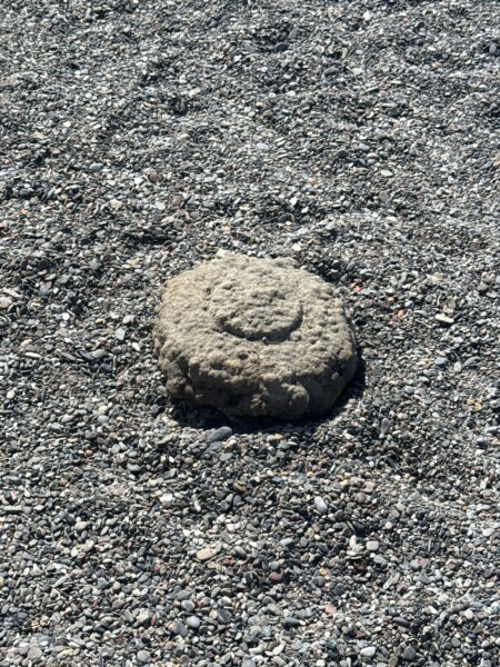 Livorno - Trovata una mina anticarro sulla spiaggia: conteneva 5,5 chili di TNT 3 88b0f169 59c2 4b55 aaec f234e726b6eb 450x600 1
