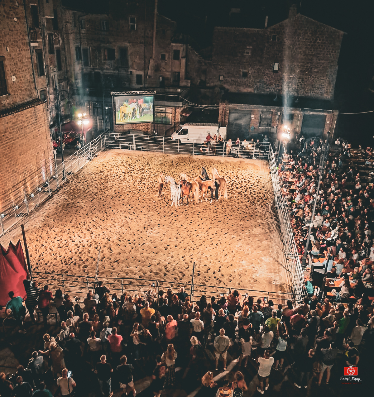 BLERA CAVALLI IN PIAZZA 2025