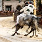 Palio di Castel del Piano