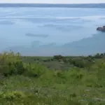 Parco-naturale-regionale-Bracciano-Martignano-RM-e-VT-Belvedere-zona-paludosa-Le-Pantane-e-piccolo-cratere-Lagusiello-foto-da-www.parcobracciano.it_