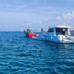 pescatore traina barca danneggiata le murelle
