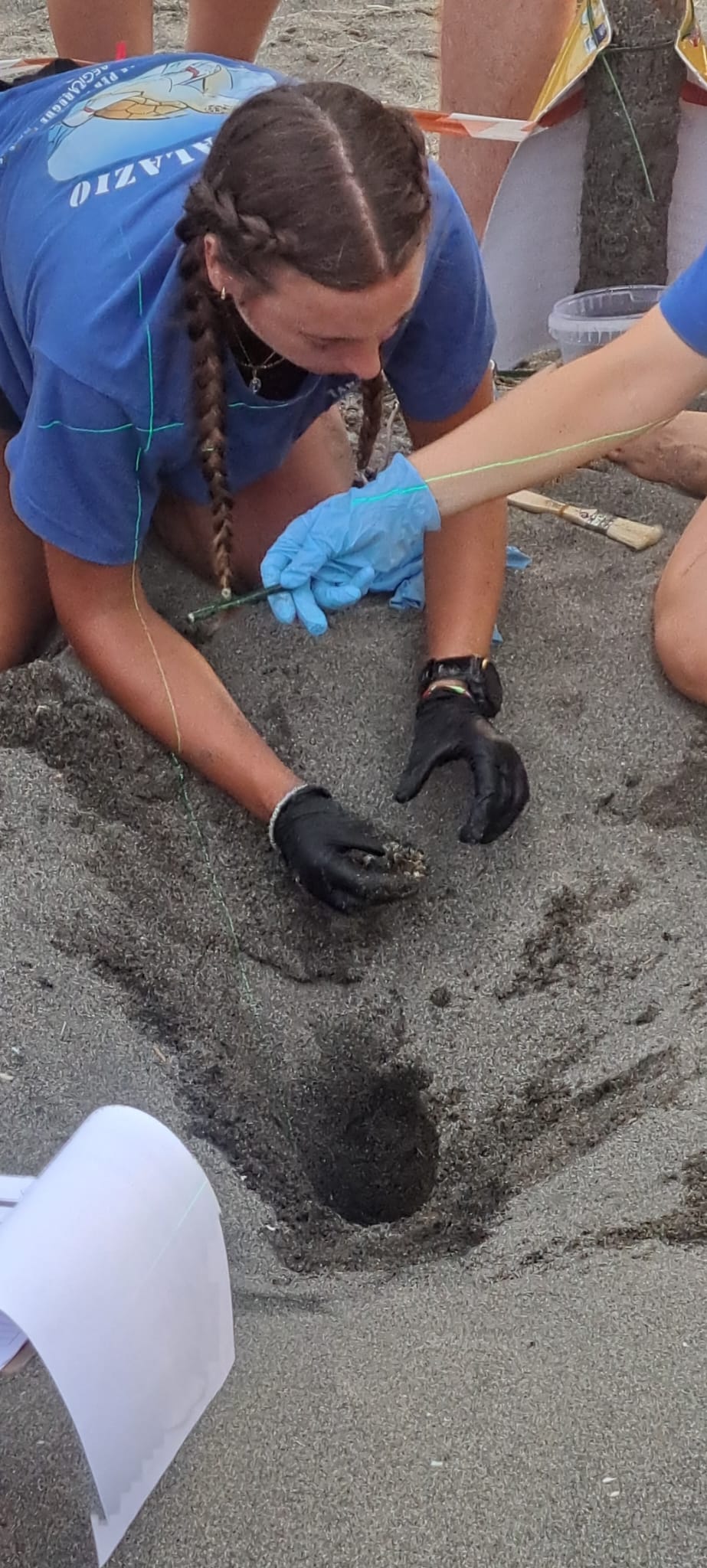 Ottanta piccole Caretta caretta hanno preso il largo da Pescia Romana (FOTO E VIDEO) 4 WhatsApp Image 2026 08 17 at 19.38.33