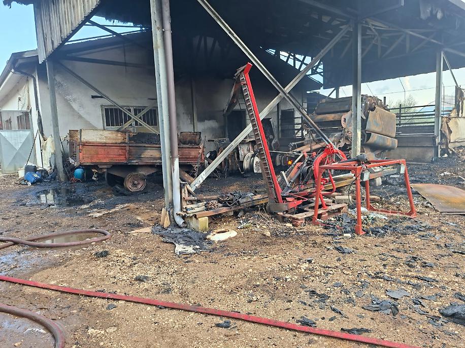 Strage di bestiame in un devastante incendio in un'azienda agricola a Castrocielo: distrutti la struttura e diversi mezzi 2 WhatsApp Image 2026 08 07 at 19.02.49 1 1786122205852.jpeg