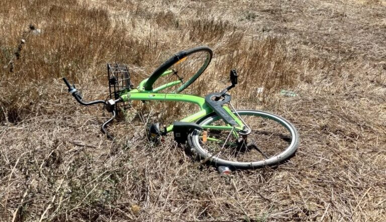bicicletta
