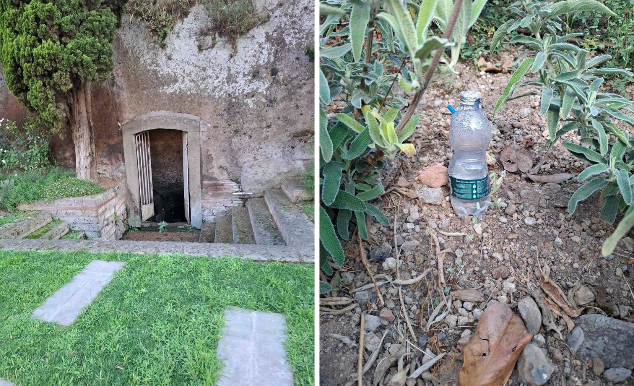 droga viterbo