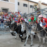palio dei somari allumiere
