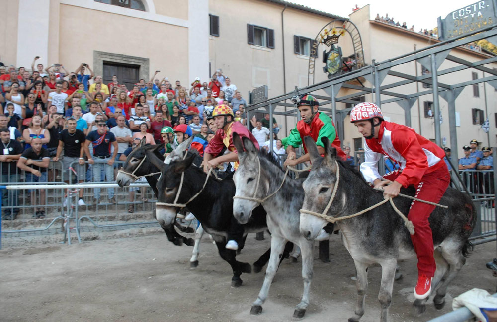 palio dei somari allumiere