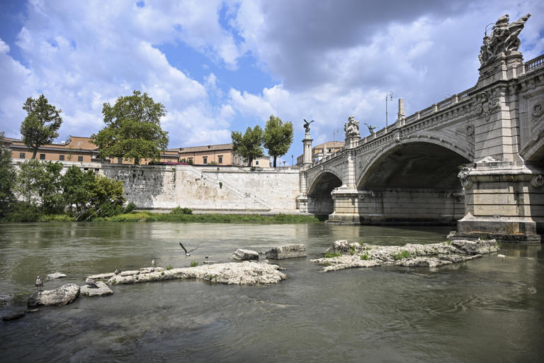 Ponte sul Tevere con vegetazione Pons Neronianus