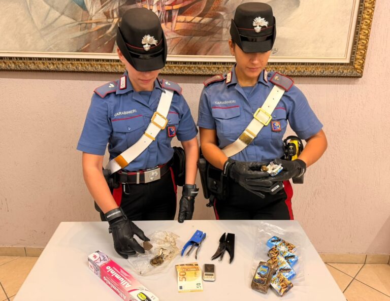 ANZIO - La droga sequestrata dai Carabinieri (1)