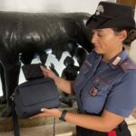 CENTRO - Parte della refurtiva recuperata dai Carabinieri