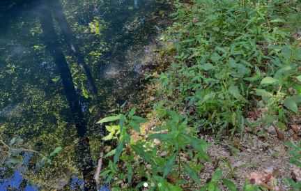Ciociaria-fiume-cosa.jpg