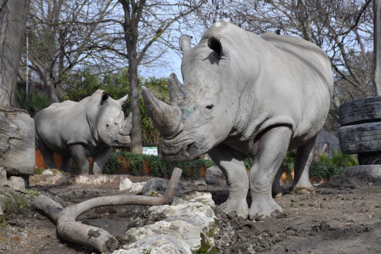 DGM_9120