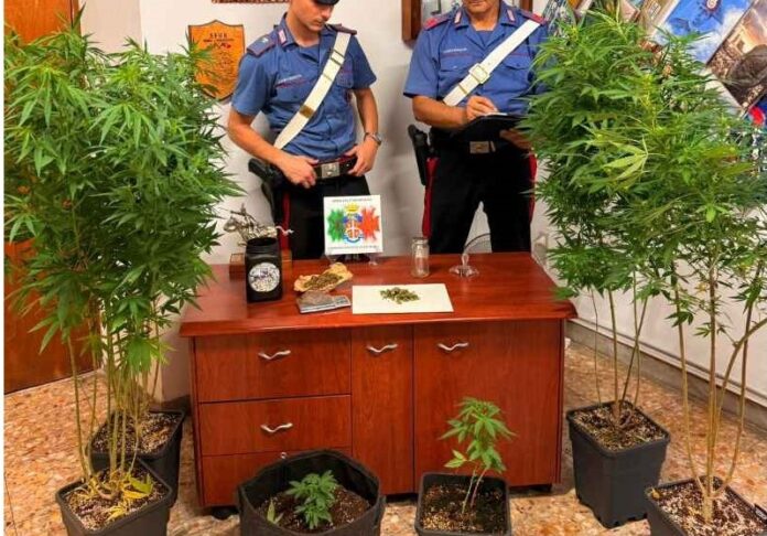 sgurgola-droga-carabinieri-frosinone.jpg