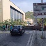 cassino-albero-caduto-università.jpg