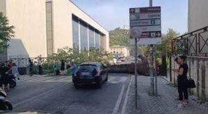 cassino-albero-caduto-università.jpg