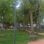 prato giardino montefiascone (2)