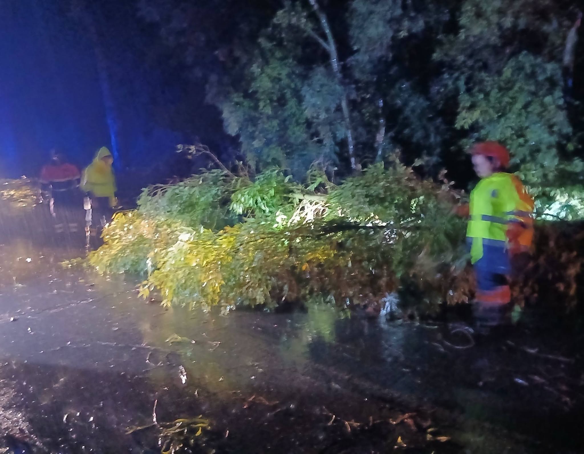 Bomba d'acqua sul litorale, raffica di interventi tra Civitavecchia, Santa Marinella e Tarquinia (FOTO) 2 839842868 1421999519901042 6143227615366959732 n.png
