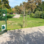parco-Baden-Powell-cassino.jpg