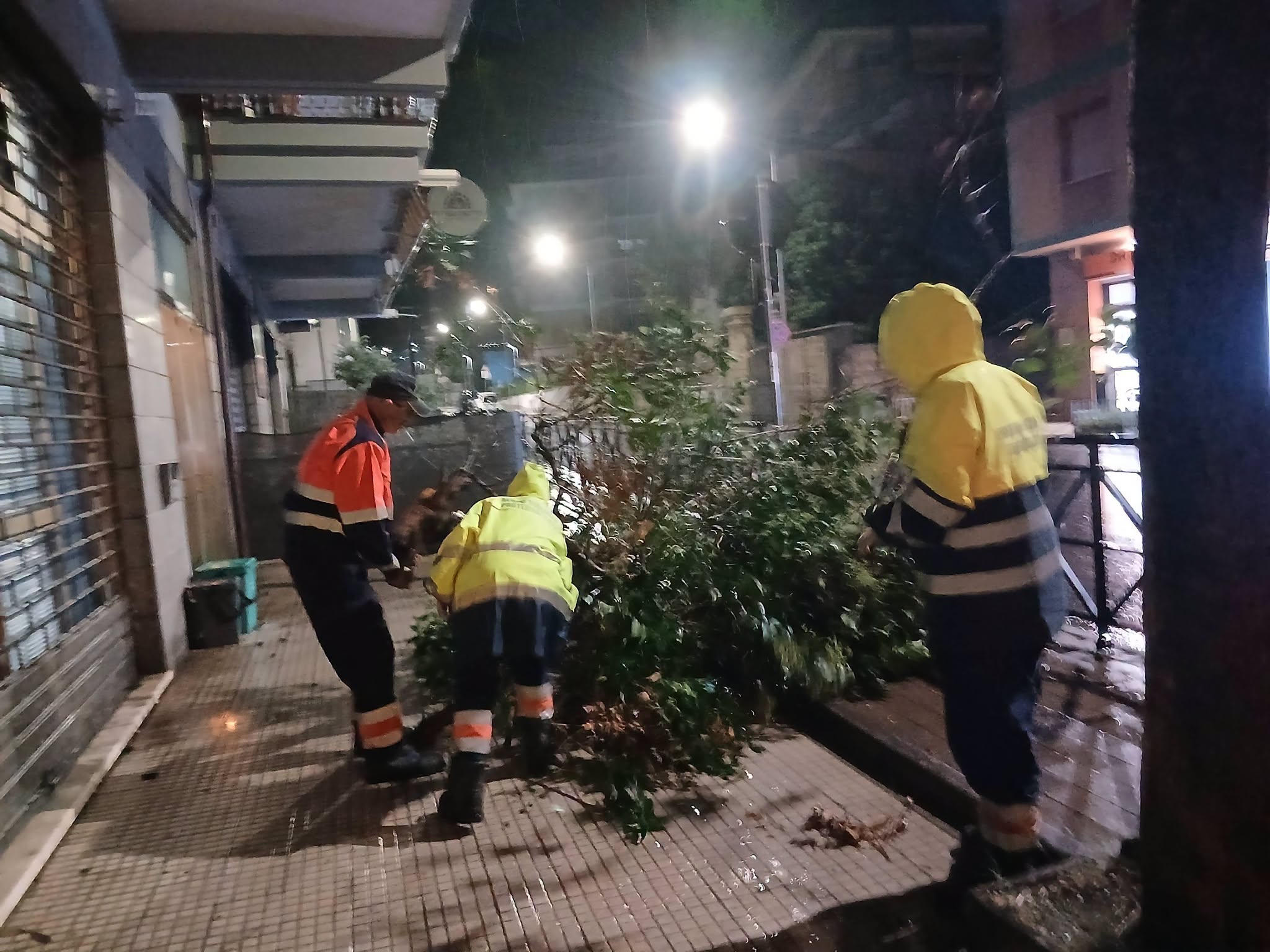 Bomba d'acqua sul litorale, raffica di interventi tra Civitavecchia, Santa Marinella e Tarquinia (FOTO) 4 840333333 2325377791562710 5075784956042886380 n.png