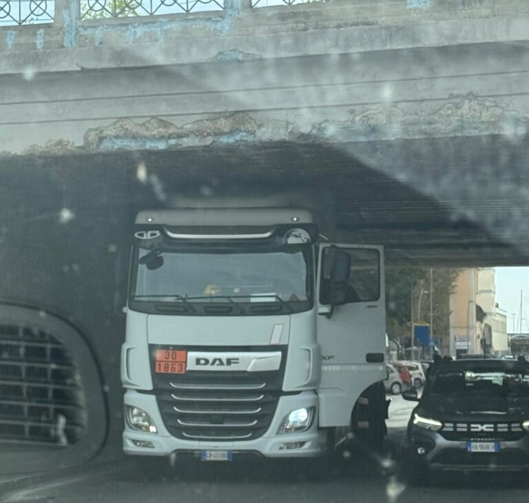 CAMION CIVITAVECCHIA