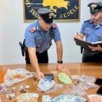 Droga, denaro e materiale vario trovati e sequestrati dai carabinieri di Alatri