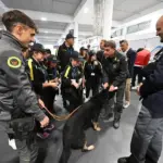 Frontiera_Gdf_Timone-_nave_da_crociera__cani_antidroga