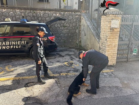 Cassino - Accetta sotto il sedile e cartucce in casa: denunciato un anziano ad Ausonia 2 IMG 20261019 WA0007 1
