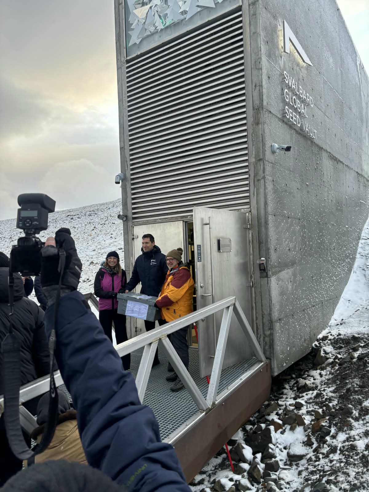 Strampelli Svalbard