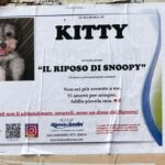 frosinone-manifesto-funebre-cagnolina.jpg