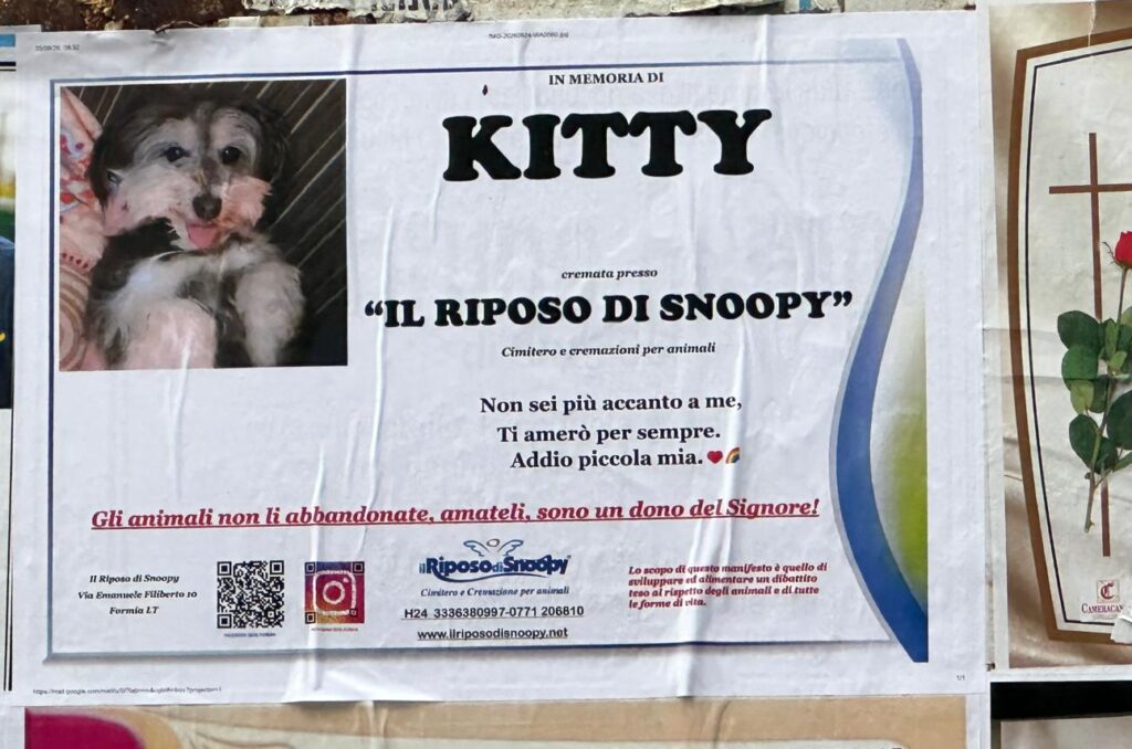 frosinone-manifesto-funebre-cagnolina.jpg