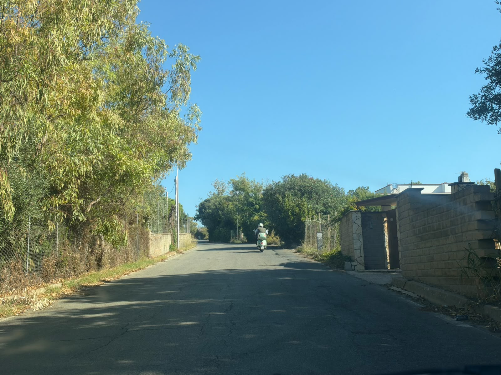 Civitavecchia - Allarme spaccio a Campo dell’Oro: le campagne di via Guastatori del Genio diventano il centro degli scambi (FOTO) 2 WhatsApp Image 2026 10 19 at 13.21.24 2