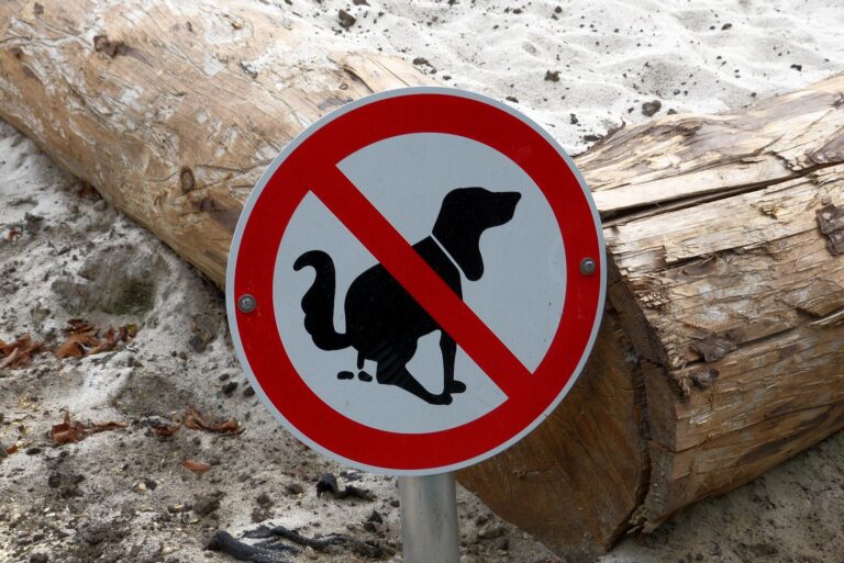 deiezioni cane