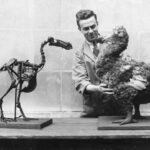 dodo 1