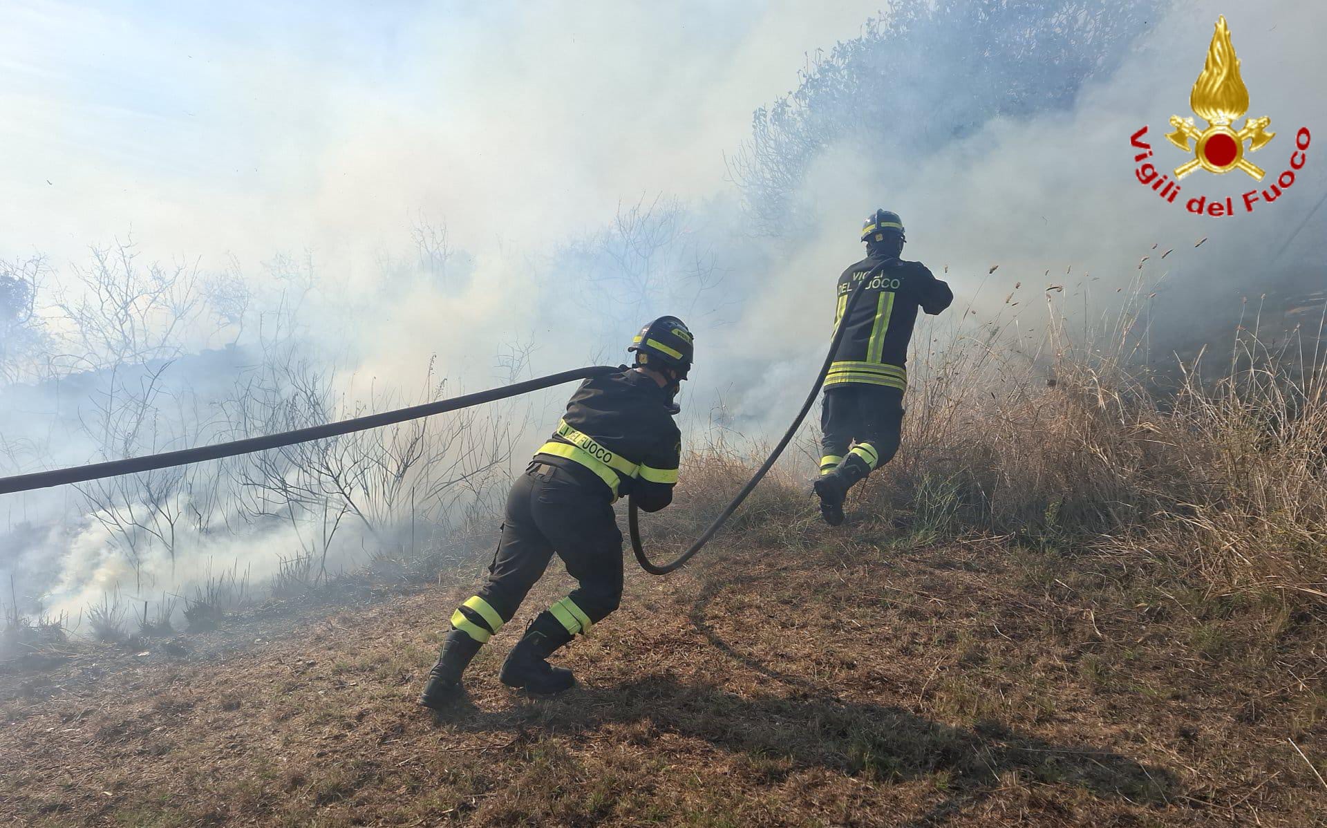 Civitavecchia, vasto incendio di sterpaglie in via Moneta 3 incendio civitavecchia 2