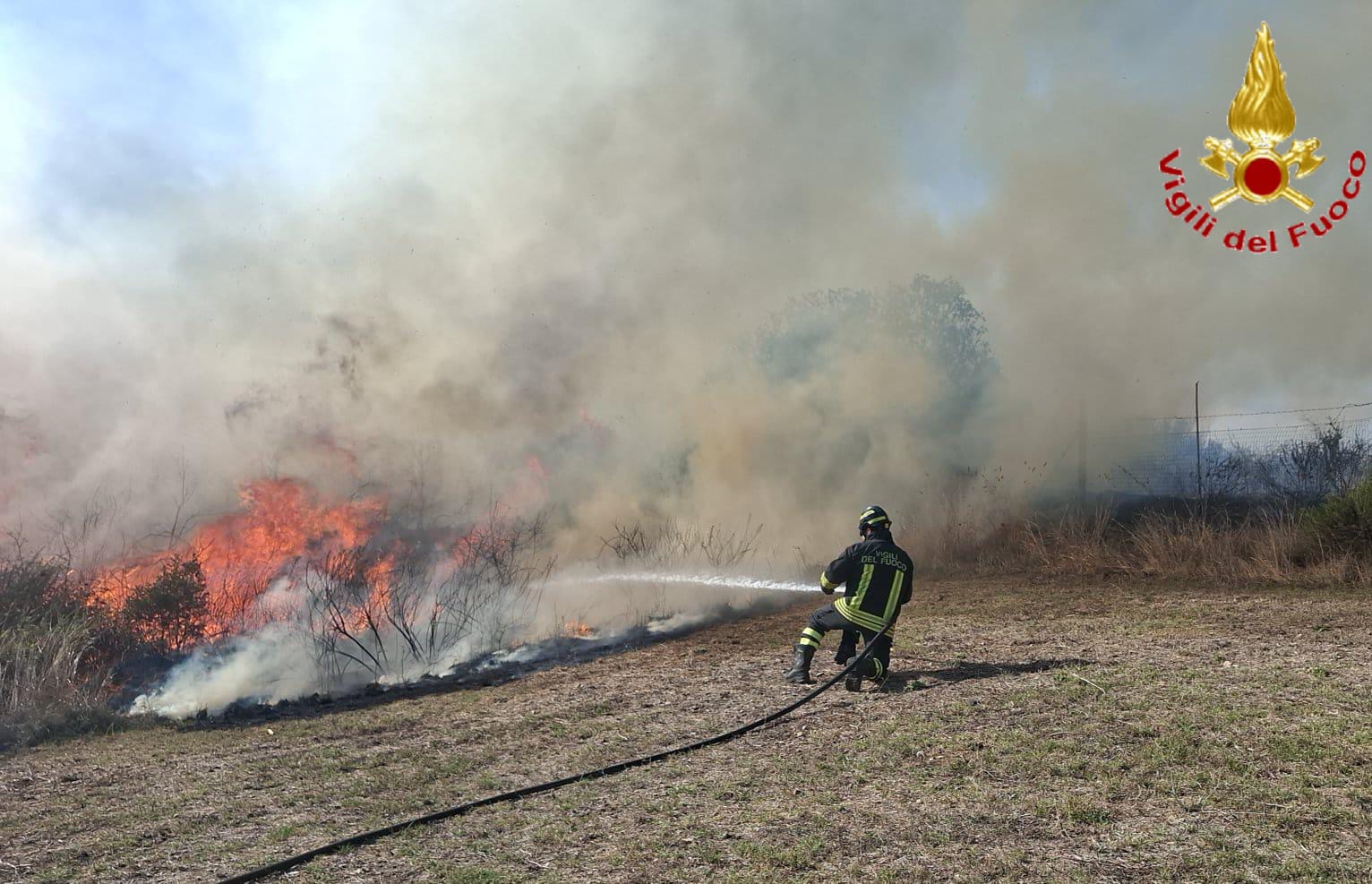 incendio civitavecchia 3