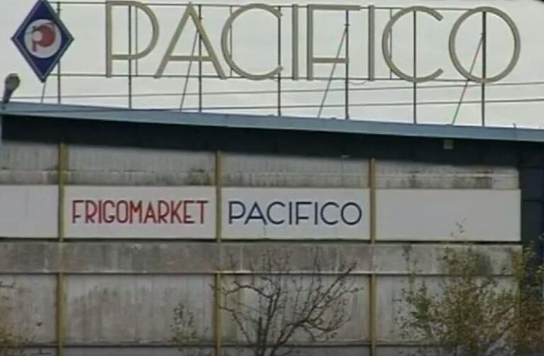 pacifico-latina-frigomarket.jpg