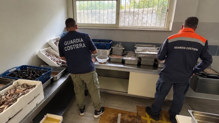 pesce-guardia-costiera-sequestrato-gaeta-formia.jpg