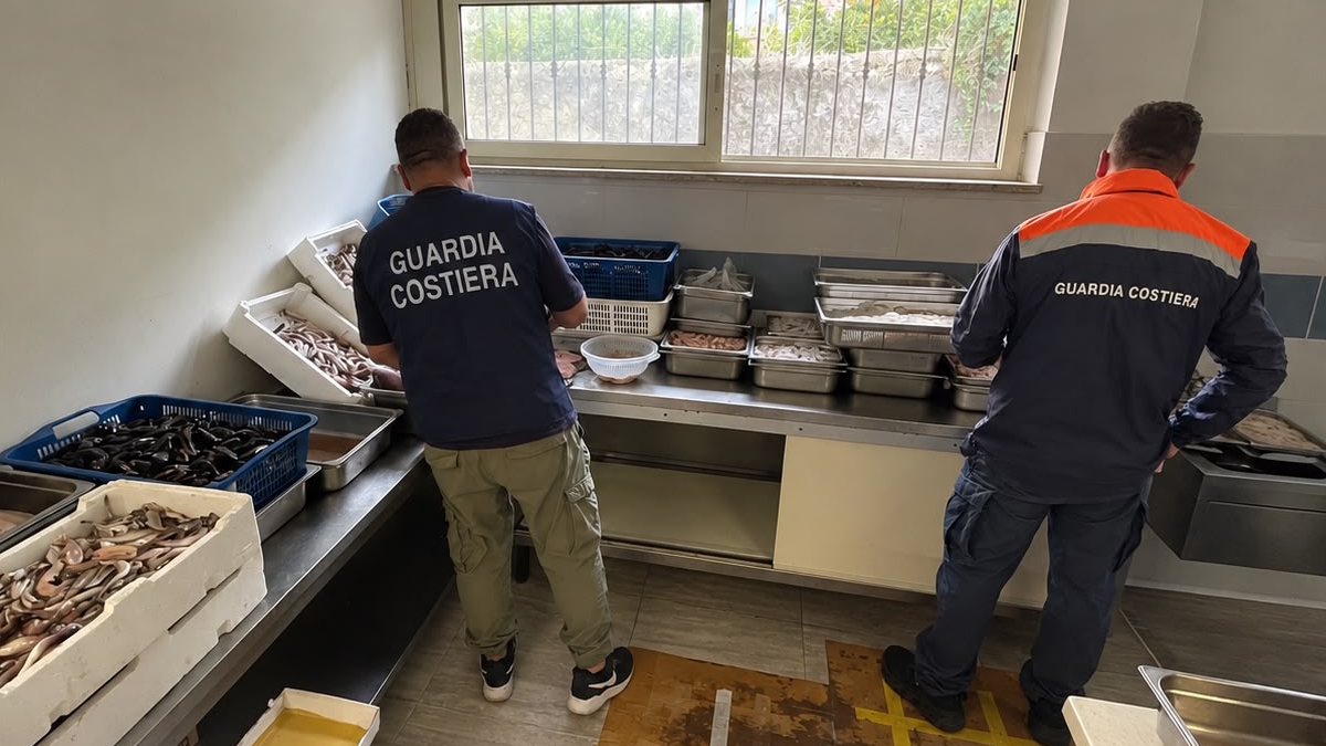 pesce-guardia-costiera-sequestrato-gaeta-formia.jpg