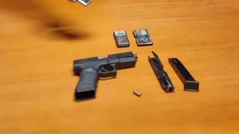 pistola-carabinieri-scacciacani-sonninoJPG